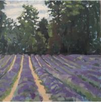 The Lavender Field', Oil on board, 20cm x 20cm