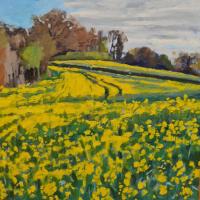 'Rapeseed Fields', Oil on board, 20cm x20cm