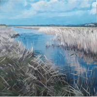 Suffolk Reeds 3, Image size 20cm x 20cm, mounted 35cm x 34cm  